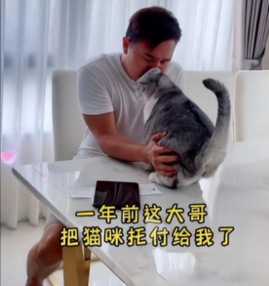 你知道小猫可以记住主人多久吗为什么